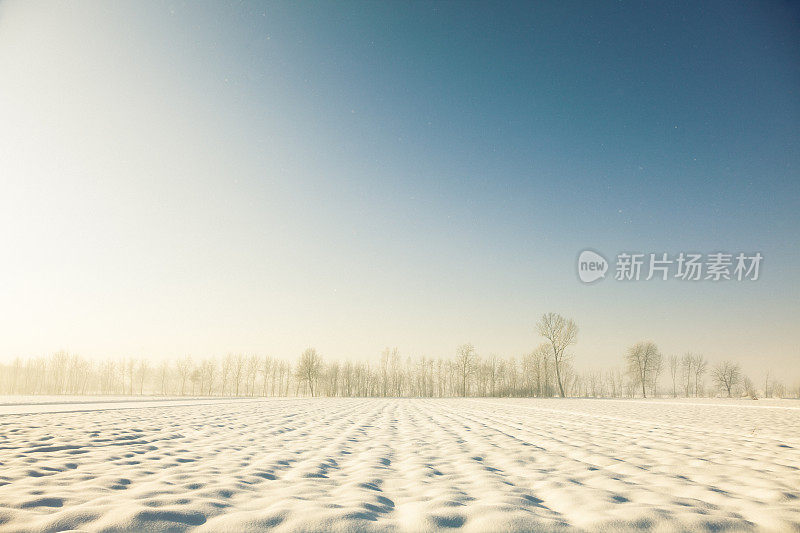 清晨雪地里