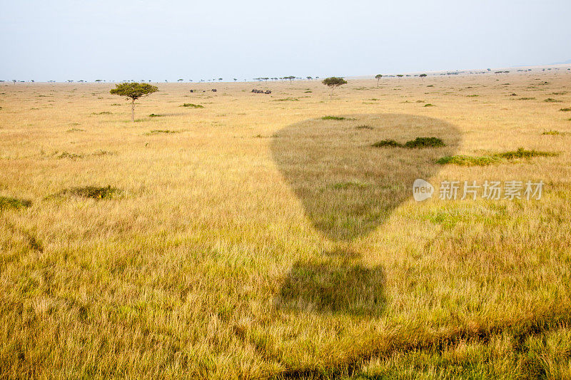 马赛马拉上空热气球的剪影