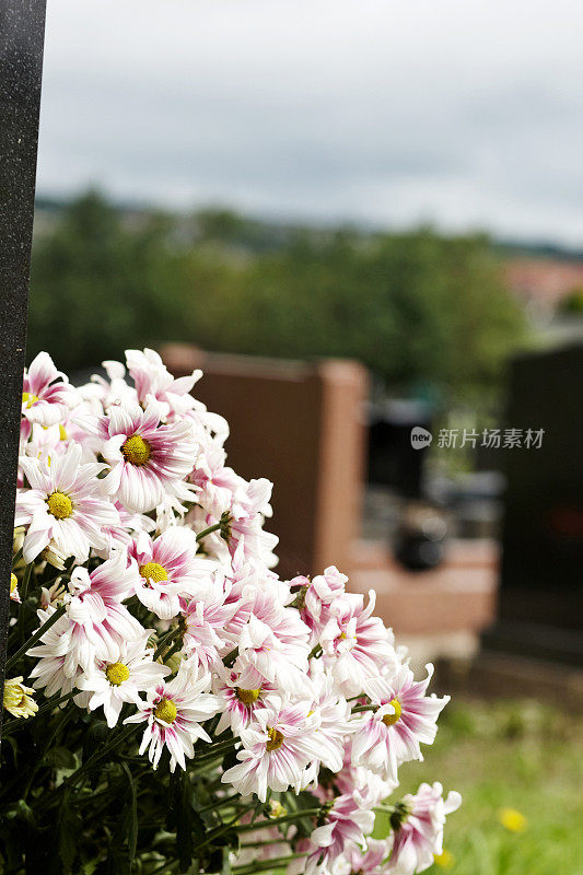 教堂墓地的花
