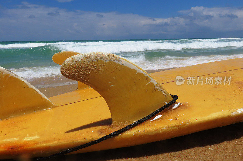 巴哈马群岛热带海滩上的黄色冲浪板