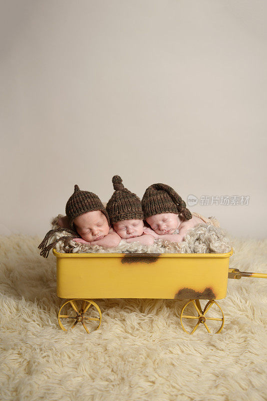 刚出生的三胞胎兄弟睡在马车上