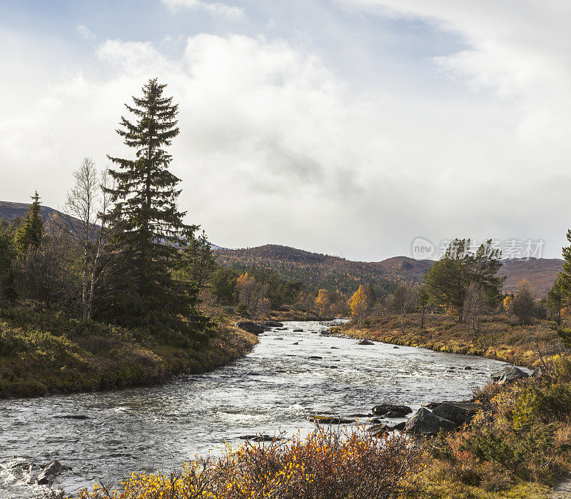 挪威群山中的秋色。