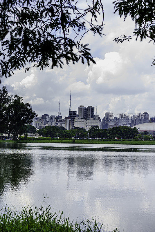 巴西圣保罗的Ibirapuera公园