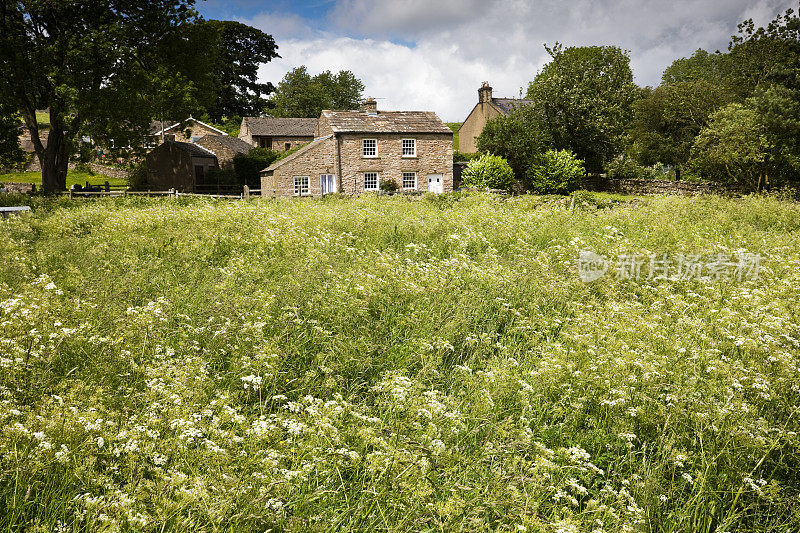 英国小屋和草地