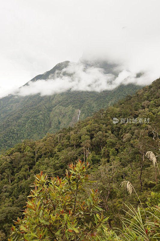 基纳巴卢山