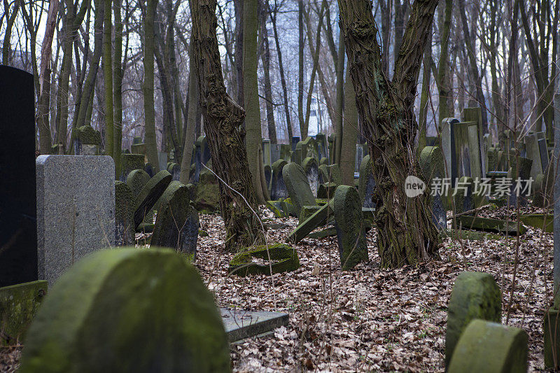 华沙秋的犹太人公墓，
