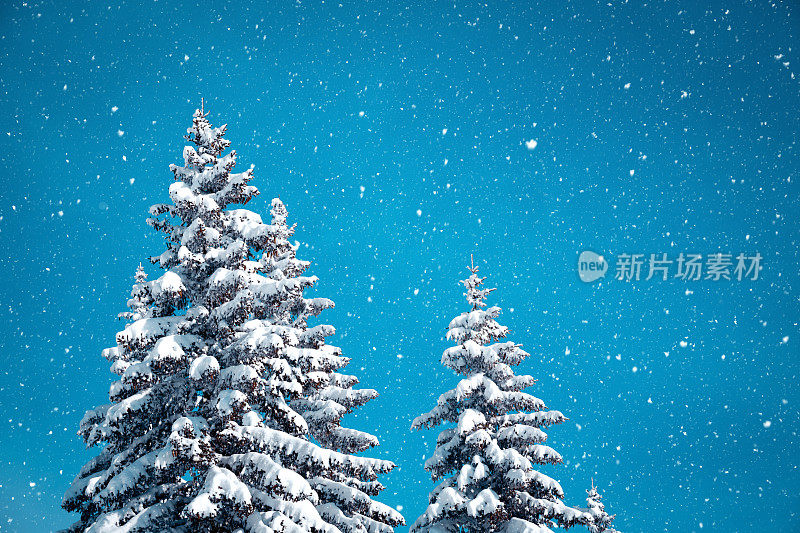 下雪的冬天