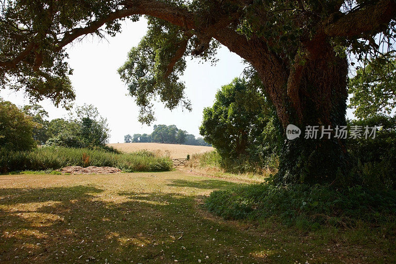 德文郡乡间的农场大门和田野