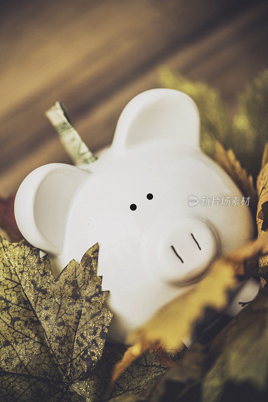 秋天的储蓄。在落叶间装着钞票的小猪储蓄罐