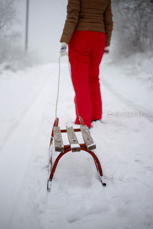 女孩在森林里散步，拉雪橇。一个开心的女人。圣诞假期。女孩免费休息。圣诞树躺在雪橇上。美丽的年轻女孩或女人在森林里散步。拉木制雪橇