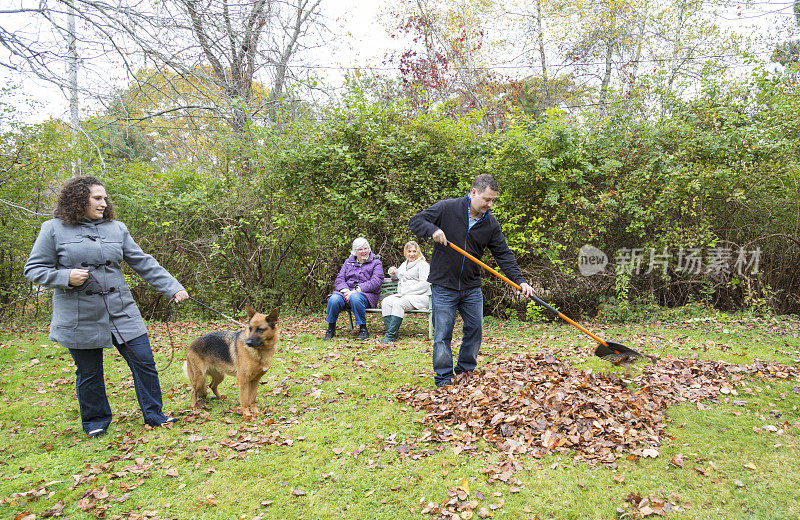 家人和狗在耙干树叶，