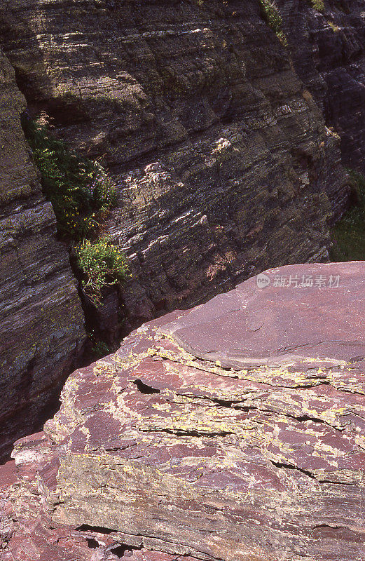 加拿大落基山脉冰川国家公园的沉积岩地衣露出地面