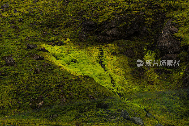 冰岛，溪流和苔藓地毯