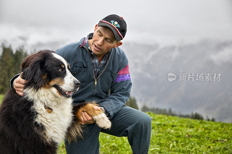 一名瑞士农民用爪子牵着他的伯恩山犬