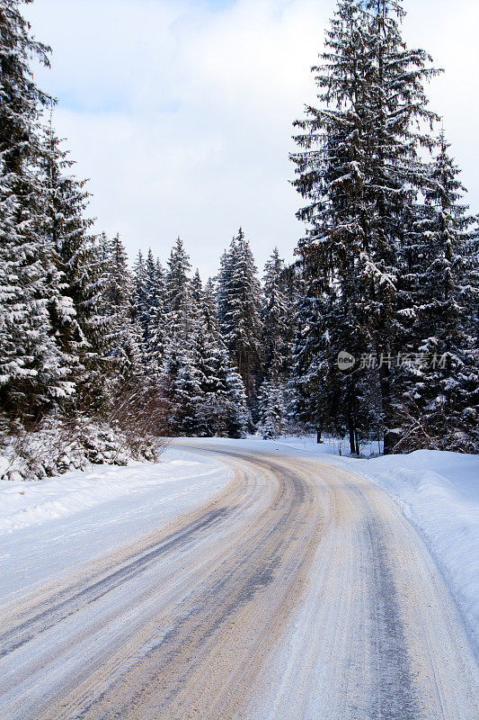 下雪的森林道路