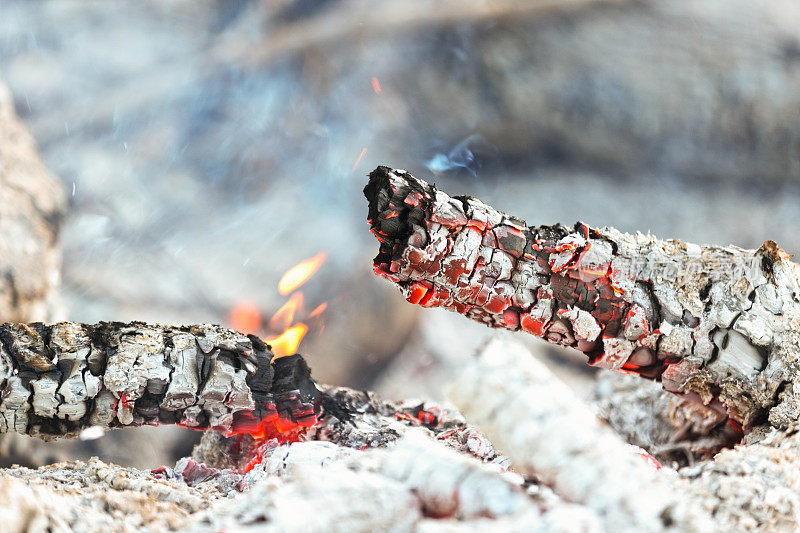 篝火中的烧焦的木头