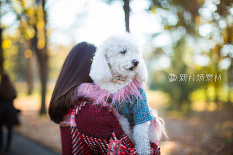 女孩和她的狗在公园里