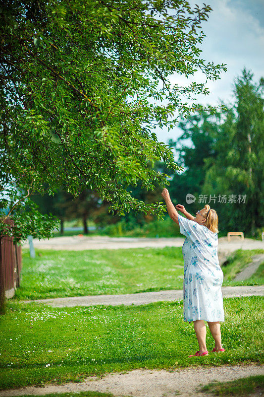 老妇人在花园里干活