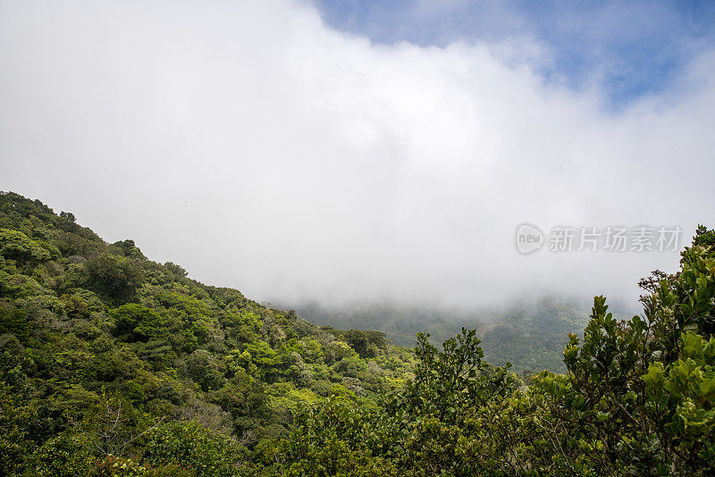 壮丽的山景绿意