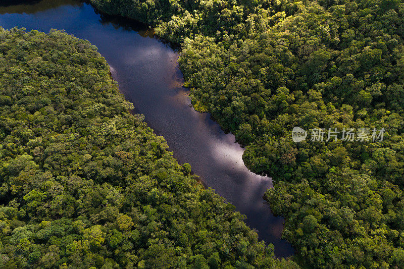 巴西热带雨林鸟瞰图