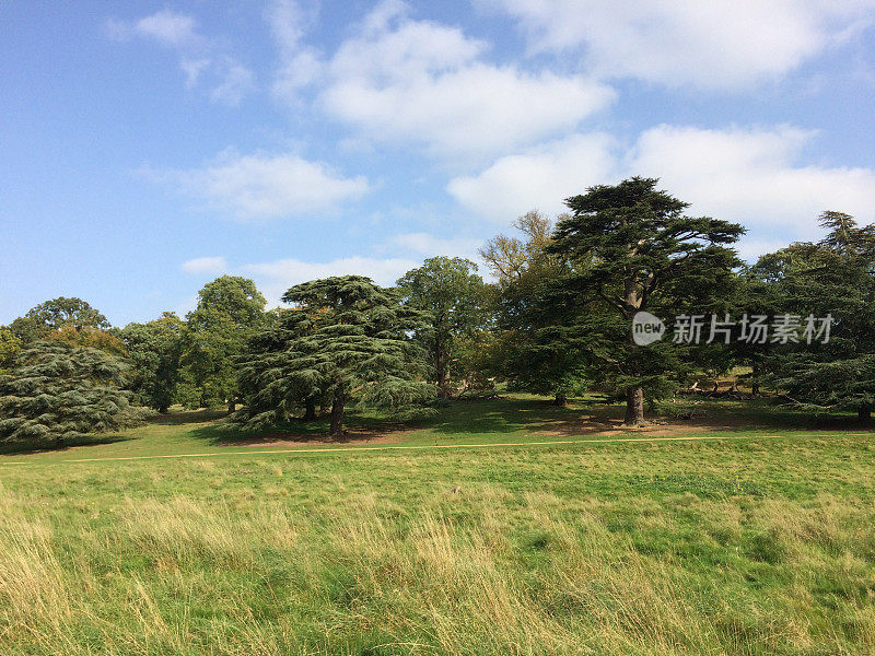 里士满公园,英格兰