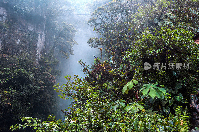 山地雨林，靠近安第斯山脉的代阿布洛瀑布。Banos。厄瓜多尔