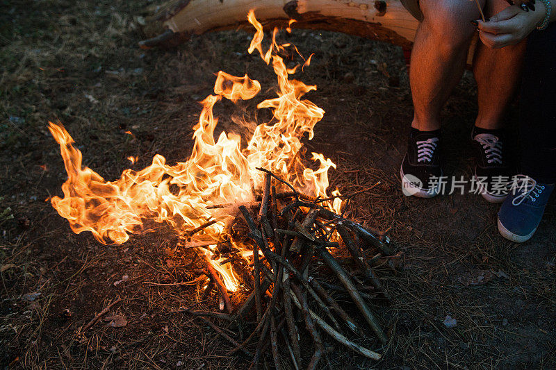 篝火温暖旅游自然森林理念。