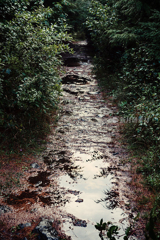 潮湿的徒步旅行路线