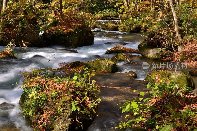 日本青森市秋天的磐濑山溪