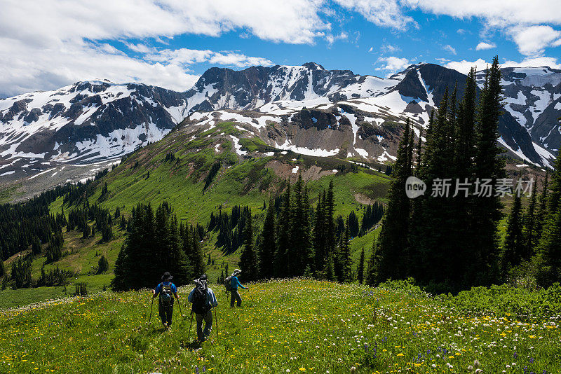 在美丽的山脉中徒步旅行