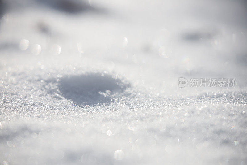 纯粹的雪