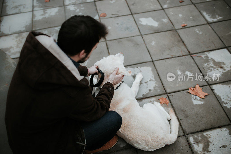 一名男子在公园里和他的拉布拉多犬玩耍