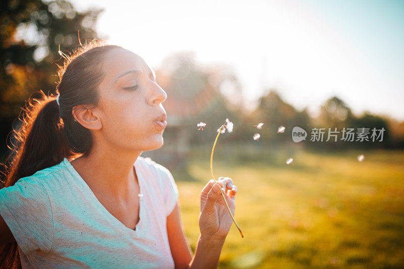 美丽的年轻女子吹蒲公英在麦田在夏季日落。