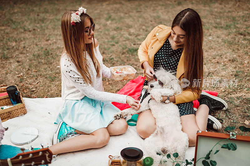 快乐的青少年与白色狮子狗享受野餐