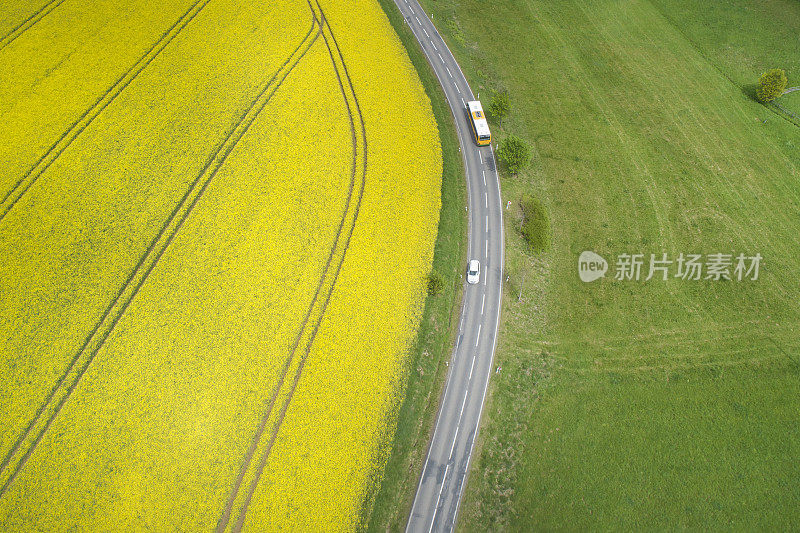 油菜田和乡村公路，农业区