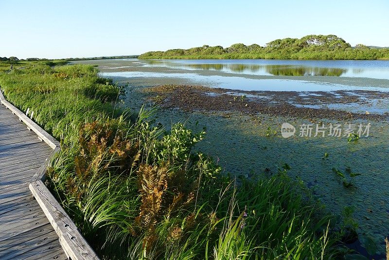 Sarebetsu平原和Panke沼泽(日本利尻理本佐别国家公园)