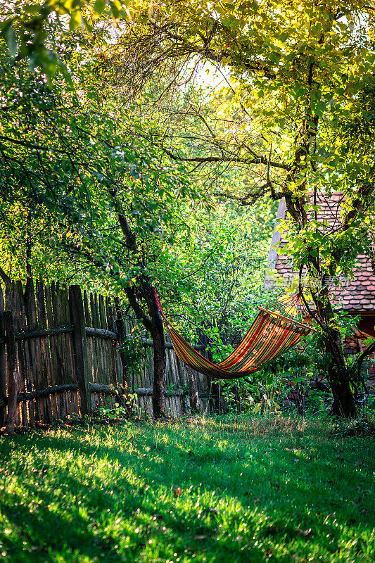 多色吊床在乡村阳光灿烂的花园