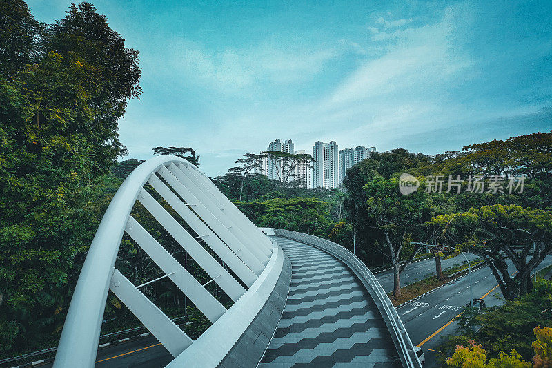 新加坡热带雨林中的树顶漫步和桥