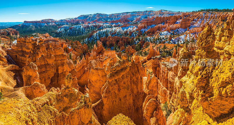 金色的hoodoo雪黄松台面布莱斯峡谷全景犹他州