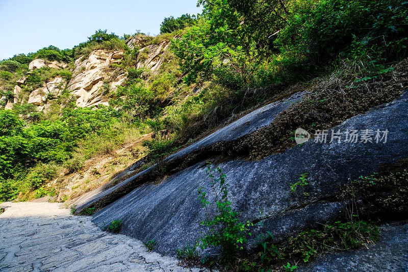 原始森林、自然风光、山谷、丛林、岩石、溪流、林荫小道