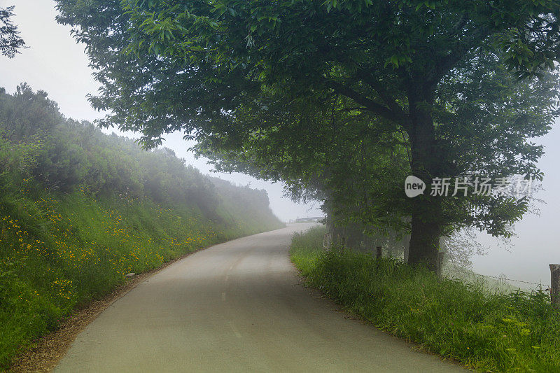 雾中荒凉的道路