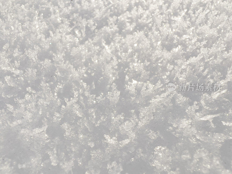 新落下的雪晶体的特写镜头