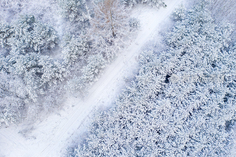 覆盖着雪的混交林鸟瞰图。