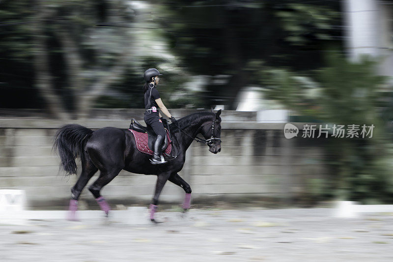 盛装舞步，女人带着她的马驰骋