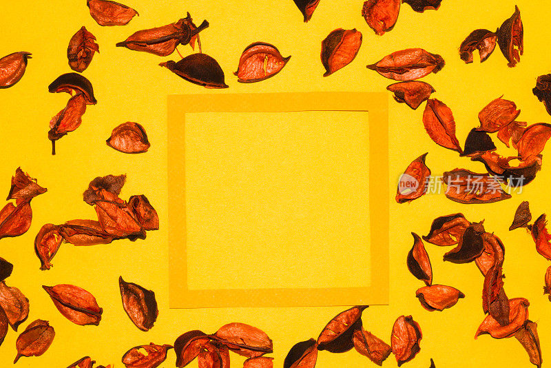 橙色框架作为复制空间，黄色背景与装饰百花壳，创意艺术秋季设计
