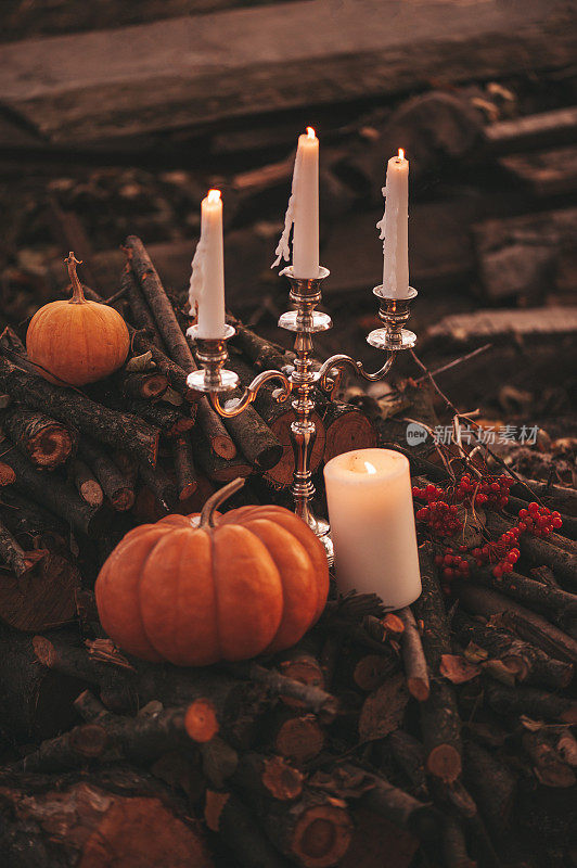 橙色的南瓜和烛台由三支蜡烛在老枯的落叶和树枝室外