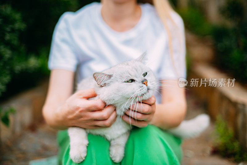 年轻女子和她漂亮的猫