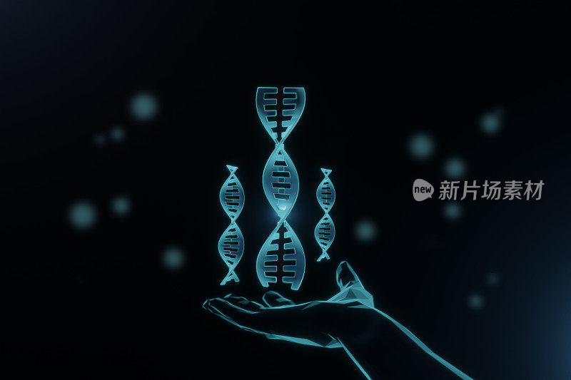手持DNA的全息图。生物学概念与蓝色DNA螺旋基因或遗传全息图分子在黑色背景。3d插图渲染。DNA全息图牵手
