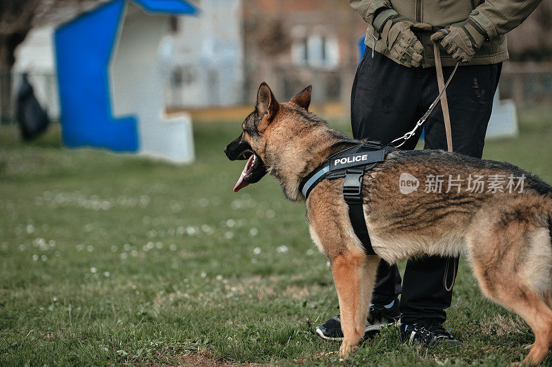 警犬