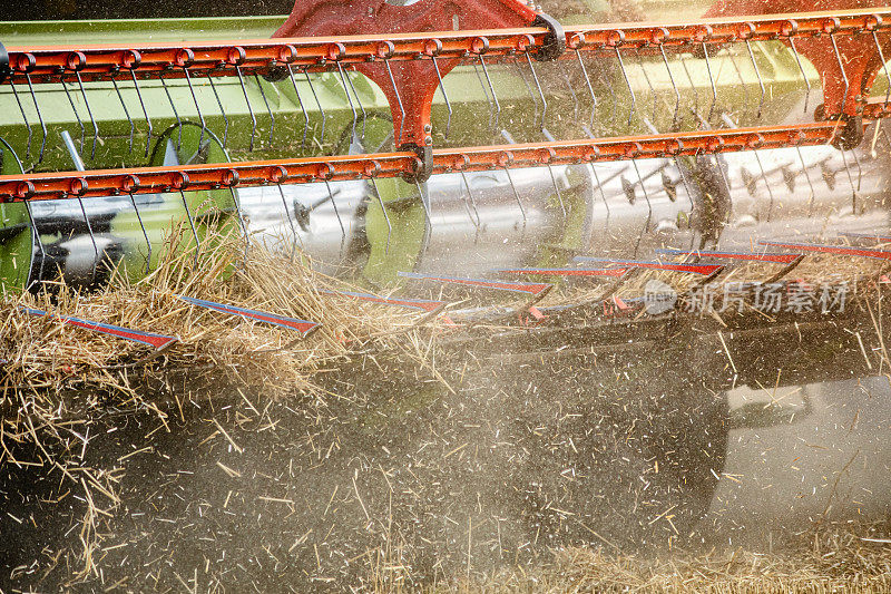 联合收割机在麦田里收割小麦的特写